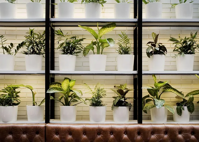 Praktik BakeryHotel Barcelone